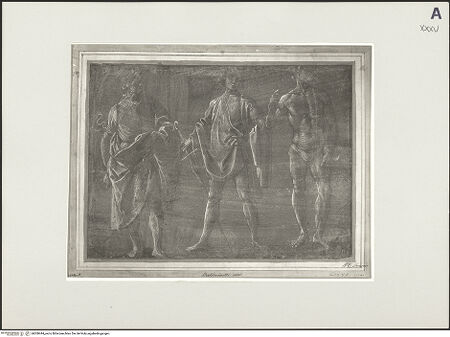 Vorderseite von bh500444_recto