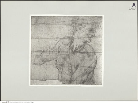 Vorderseite von bh500449_recto