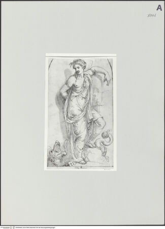 Vorderseite von bh500464_recto