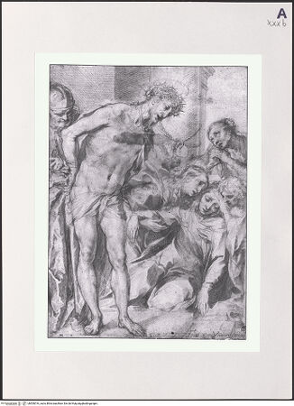 Vorderseite von bh500516_recto