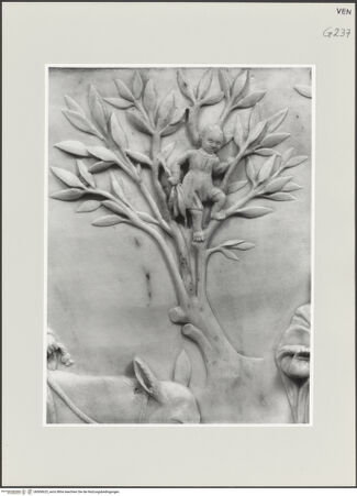 Vorderseite von bh500623_recto