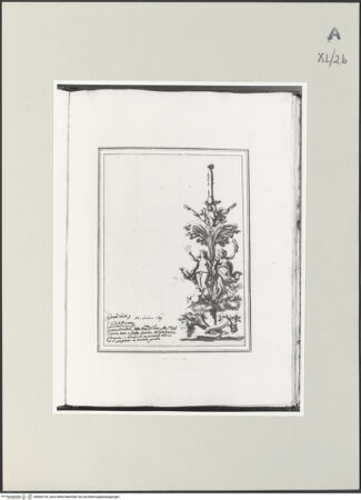 Vorderseite von bh500733_recto