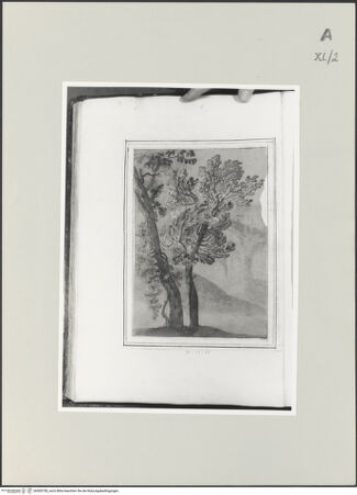 Vorderseite von bh500758_recto