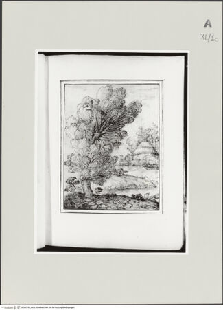 Vorderseite von bh500780_recto