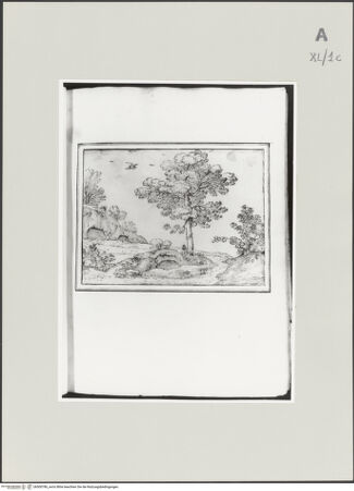 Vorderseite von bh500786_recto