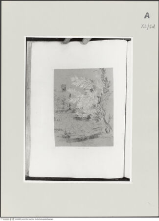 Vorderseite von bh500805_recto