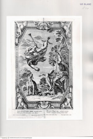 Vorderseite von bh500856