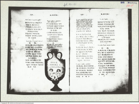 Vorderseite von Centre Canadien d'Architecture [https://www.deutsche-digitale-bibliothek.de/content/lizenzen/rv-ez/] Berrettini, Pietro, studi d'architettura e disegni originaliZeremonienstab mit Barberini-Bienen - , bh500924_recto. Foto.