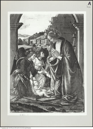 Vorderseite von bh501003_recto