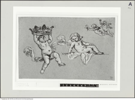 Vorderseite von bh501098_recto