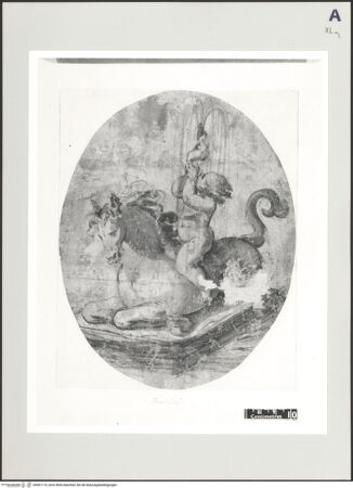 Vorderseite von bh501119_recto