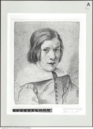 Vorderseite von bh501120_recto