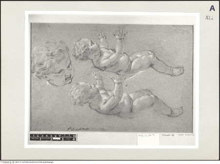 Vorderseite von bh501131_recto