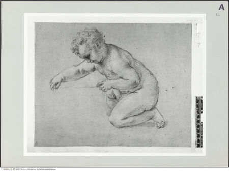 Vorderseite von bh501133_recto