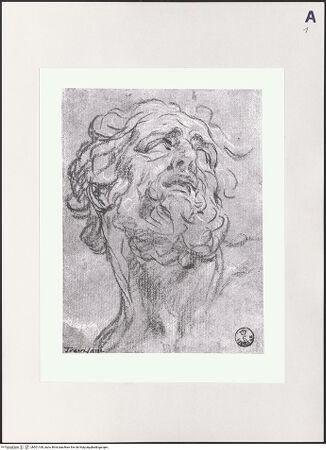 Vorderseite von bh501169_recto