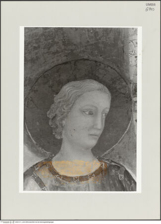 Vorderseite von bh501311_recto