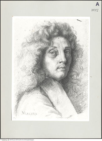 Vorderseite von bh501603_recto