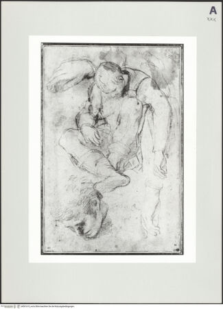 Vorderseite von bh501615_recto