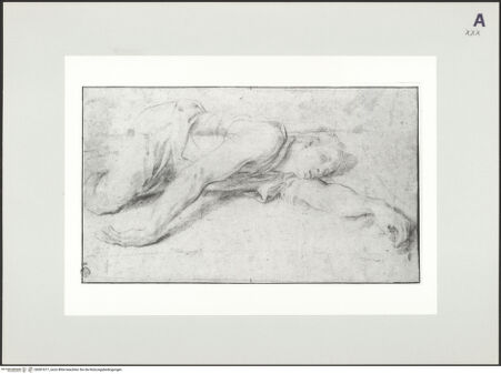 Vorderseite von bh501617_recto