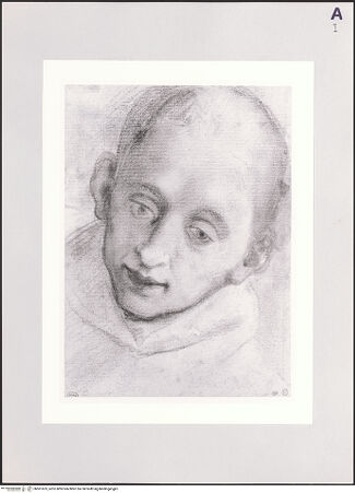 Vorderseite von bh501625_recto