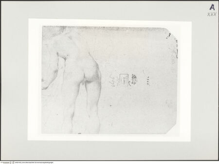 Vorderseite von bh501652_recto