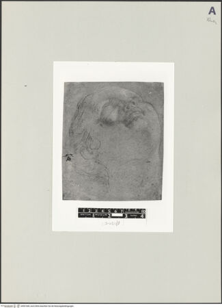 Vorderseite von bh501685_recto