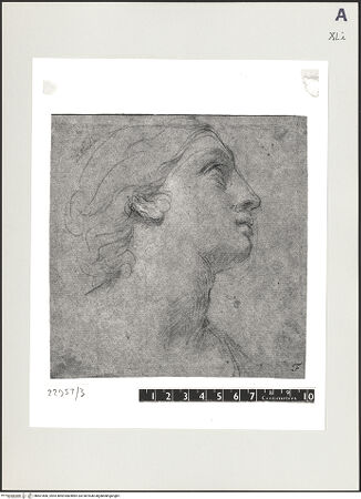 Vorderseite von bh501686_recto