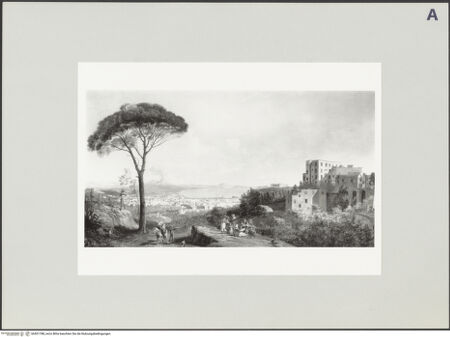 Vorderseite von bh501788_recto