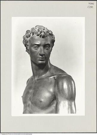 Vorderseite von bh501943_recto