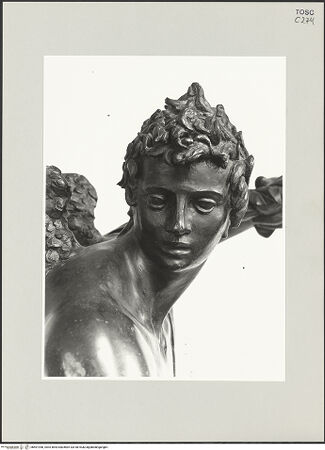 Vorderseite von bh501948_recto