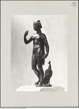 Vorderseite von bh501949_recto