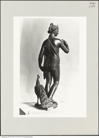 Vorderseite von bh501950_recto