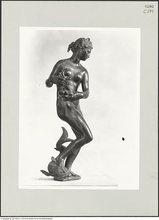 Vorderseite von bh501971_recto