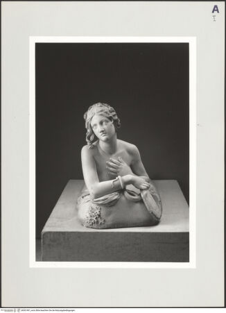 Vorderseite von bh501987_recto