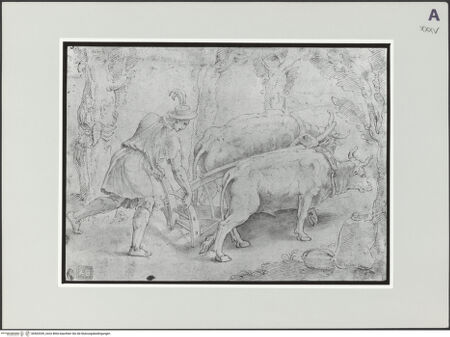 Vorderseite von bh502039_recto