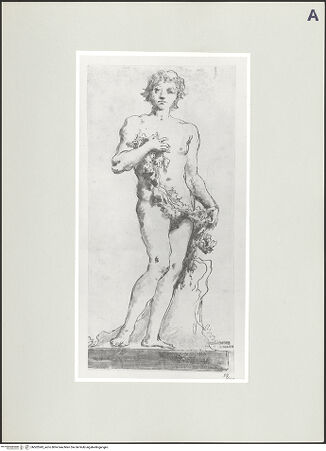 Vorderseite von bh502043_recto