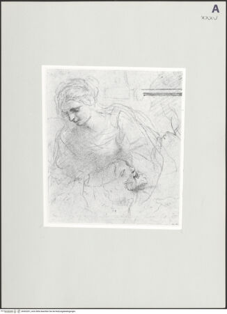 Vorderseite von bh502057_recto