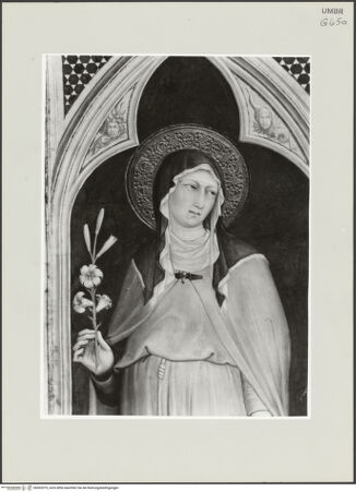 Vorderseite von bh502079_recto