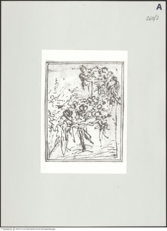 Vorderseite von bh502107_recto