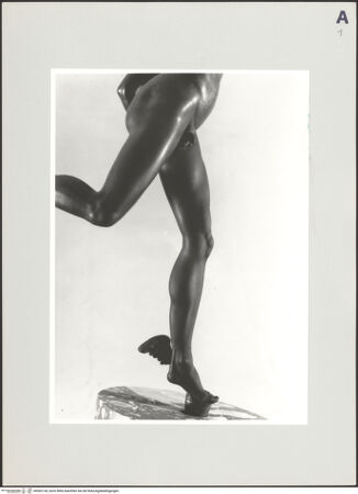 Vorderseite von bh502130_recto