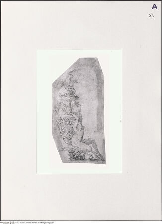 Vorderseite von bh502137_recto