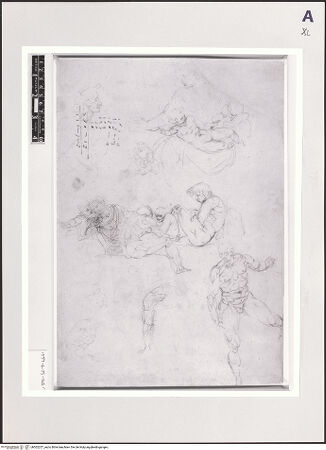 Vorderseite von bh502257_recto