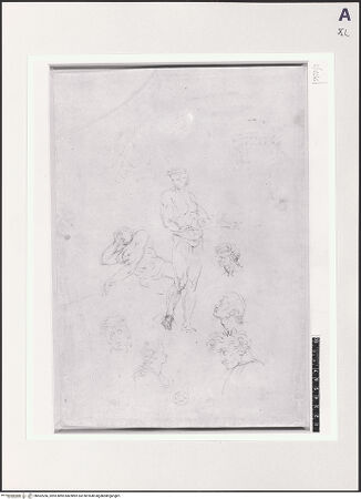 Vorderseite von bh502266_recto