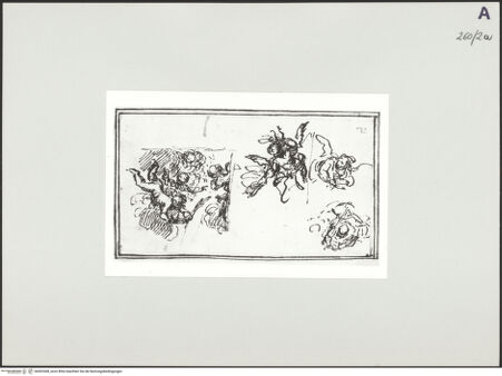 Vorderseite von bh502308_recto