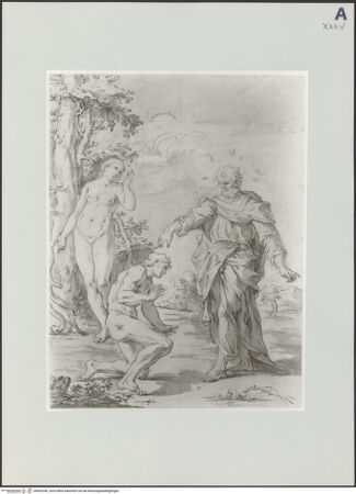 Vorderseite von bh502356_recto