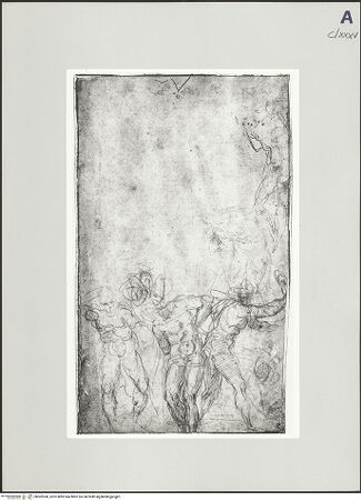 Vorderseite von bh502360_recto