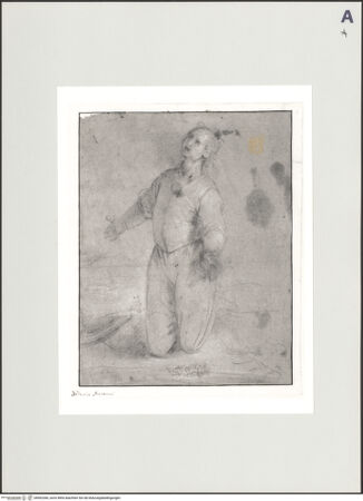 Vorderseite von bh502366_recto