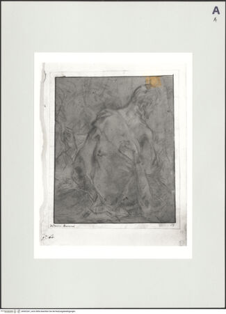 Vorderseite von bh502367_recto