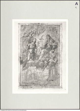 Vorderseite von bh502385_recto