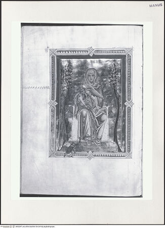 Vorderseite von bh502387_recto